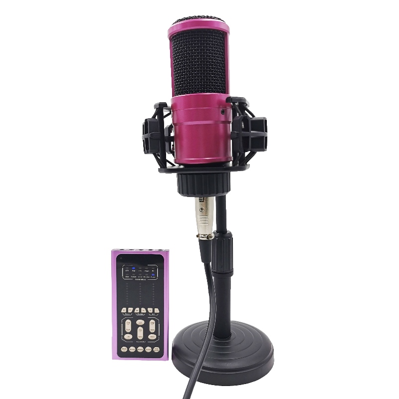 FB-LSC500 Super Slim Size Multifunction Voice Changer การ์ดเสียงสดและชุดไมโครโฟน